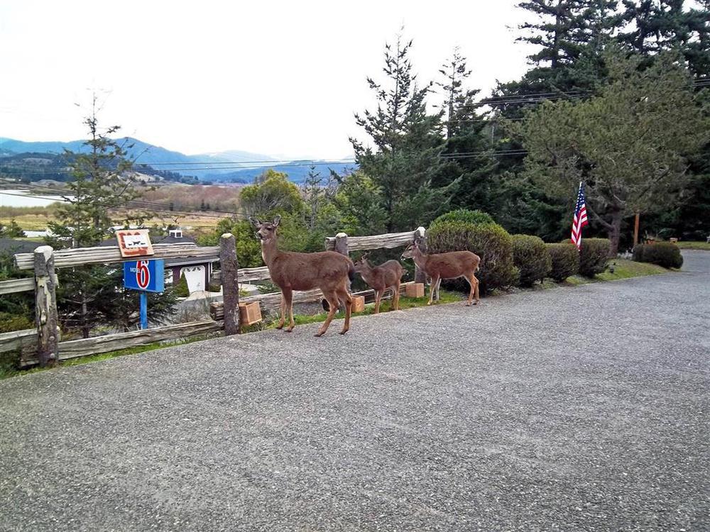 Motel 6 Gold Beach Amenities photo